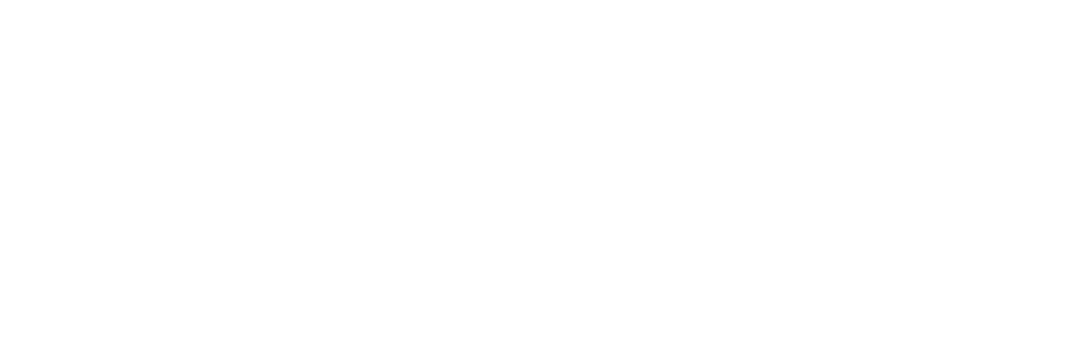 Google Partner